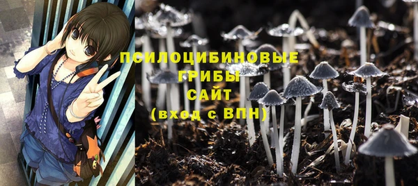 СК Навашино