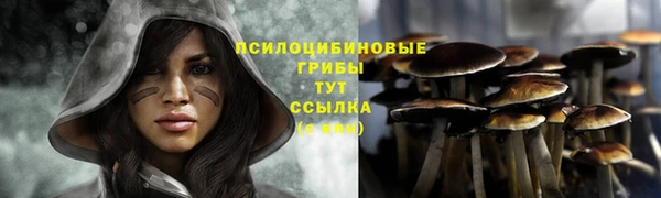 СК Навашино