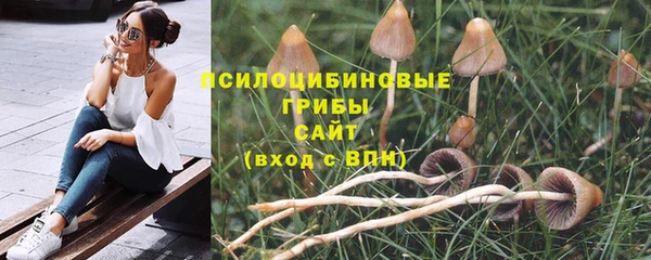 прущая мука Надым