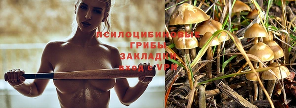 прущая мука Надым