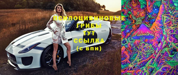 прущая мука Надым