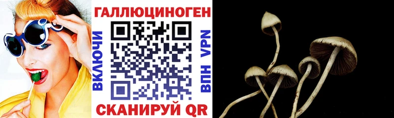 где купить наркоту  Томилино  Псилоцибиновые грибы Psilocybe 